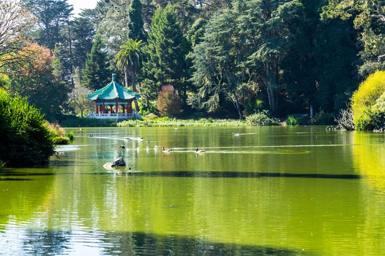 San Francisco with Infants and Toddlers: The place to Go and What to Do