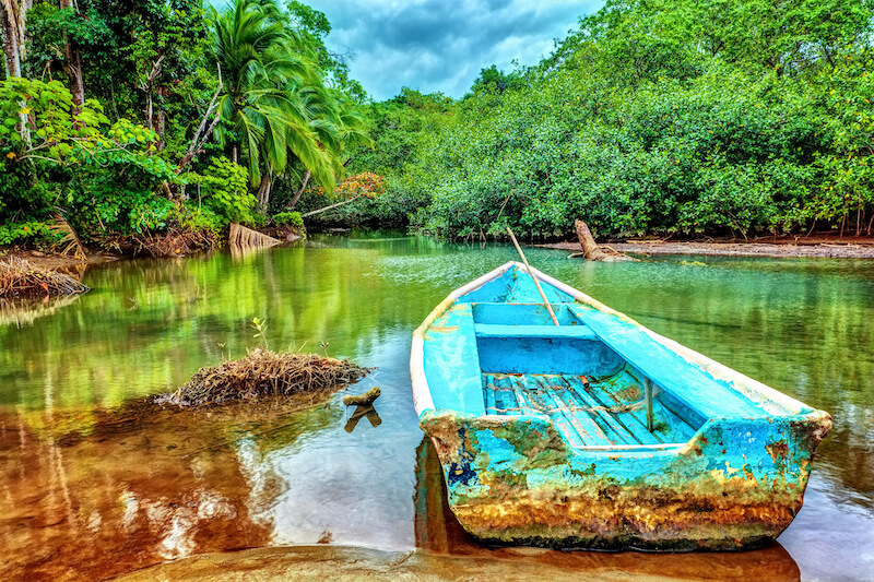 Riverside view with coastal forests and rowboat 